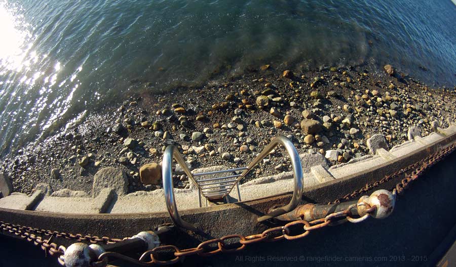 Also taken on Rocks Road, Nelson, it is amazing how everything is in focus from the chain-link fence backwards.