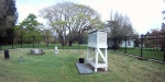 Again with this shot taken in the Christchurch Botanic Gardens there is little distortion with the fence positioned in the center of the frame.