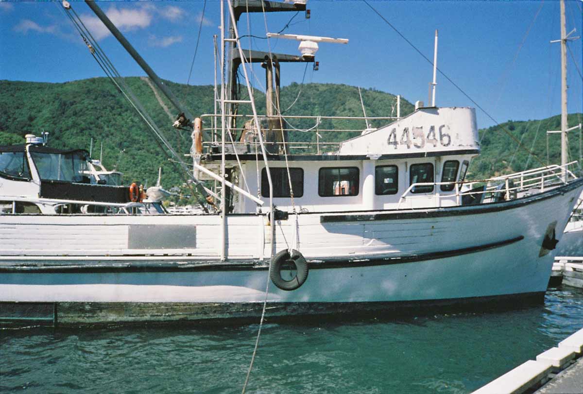 Olympus XA vessel at Piction. 35mm lens view uncropped.