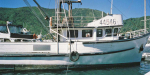 Olympus XA vessel at Piction. 35mm lens view uncropped.