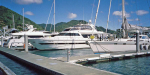 Olympus XA marina at Picton.