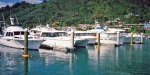 Olympus XA marina at Picton.