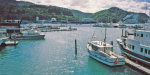 Olympus XA marina at Picton. Cook Strait ferries.