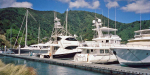 Olympus XA marina at Picton.