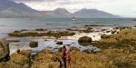 Kaikoura, Yashica Mat 6x6