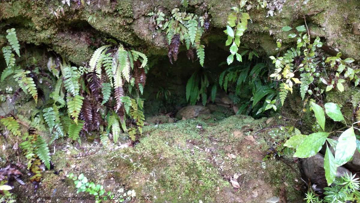In many places in the Wakamarina Valley you can see evidence of gold prospectors digging into the hill sides.